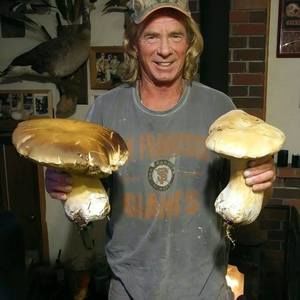 Meet your Posher, Jeffrey